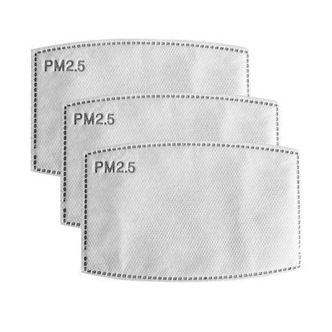 PM2.5 Filter Single